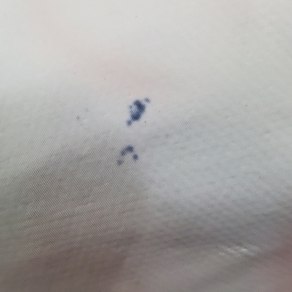 Thirty One Zipper Pouch Apple Blossum 12" wide x 9" tall with 2.5" base - Picture 8 of 16